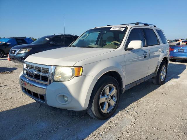 Ford Escape (2010)