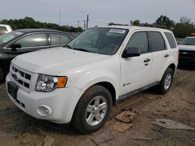 Ford Escape (2011)