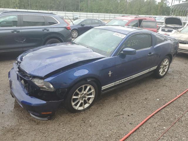 Ford All models (2010)