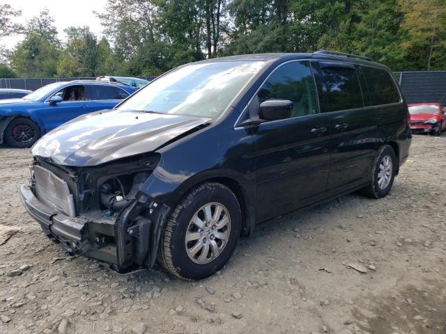 Honda All models (2010)
