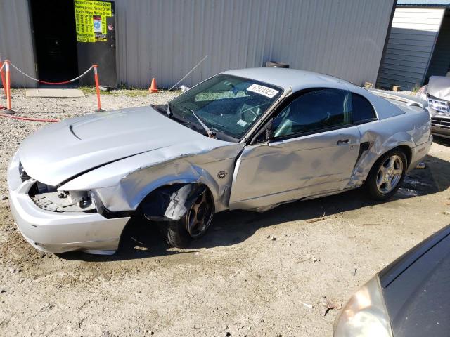 Ford All models (2004)
