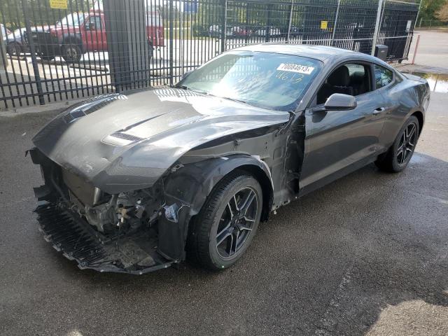Ford All models (2020)