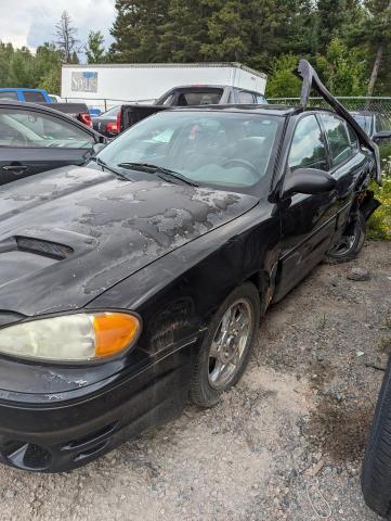 Pontiac Grandam (2004)