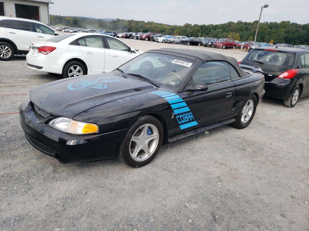 Ford Mustang co (1995)
