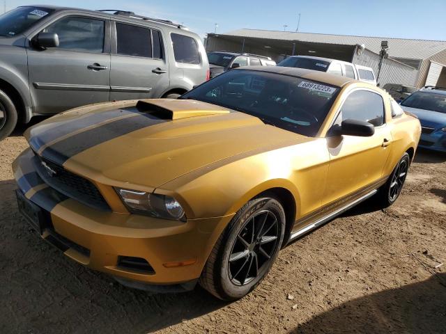 Ford All models (2010)