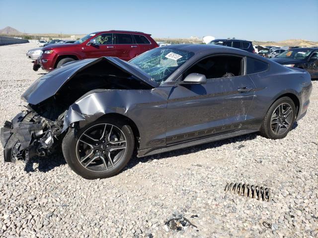 Ford All models (2021)