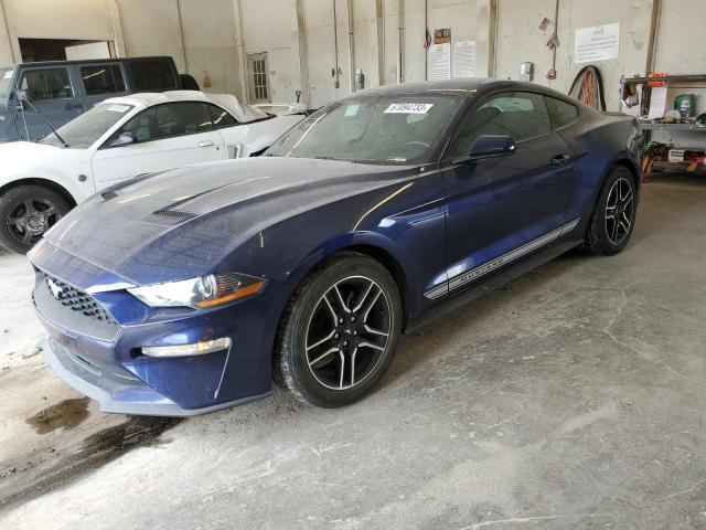 Ford All models (2019)
