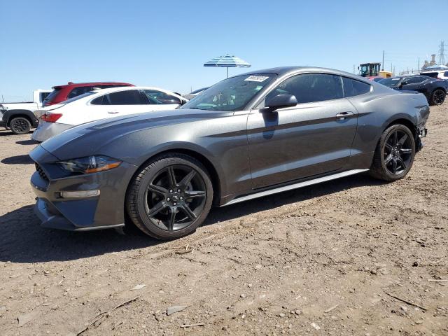 Ford All models (2019)