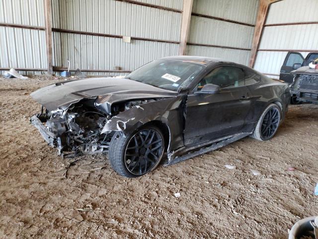 Ford All models (2018)