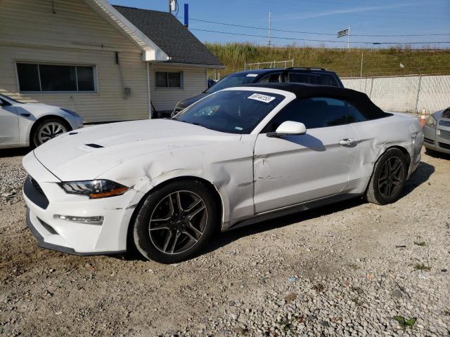 Ford All models (2021)