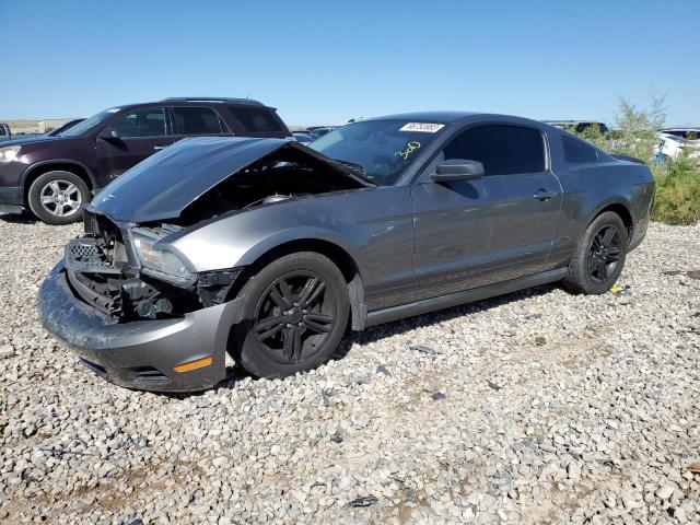Ford All models (2010)