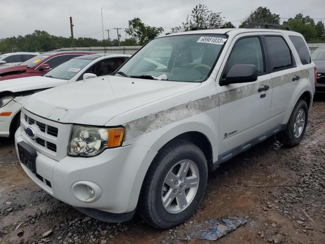 Ford Escape (2011)