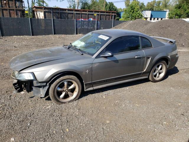 Ford All models (2002)