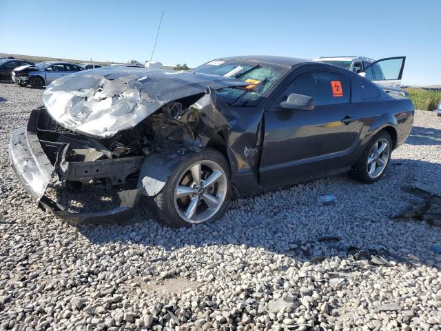Ford All models (2009)