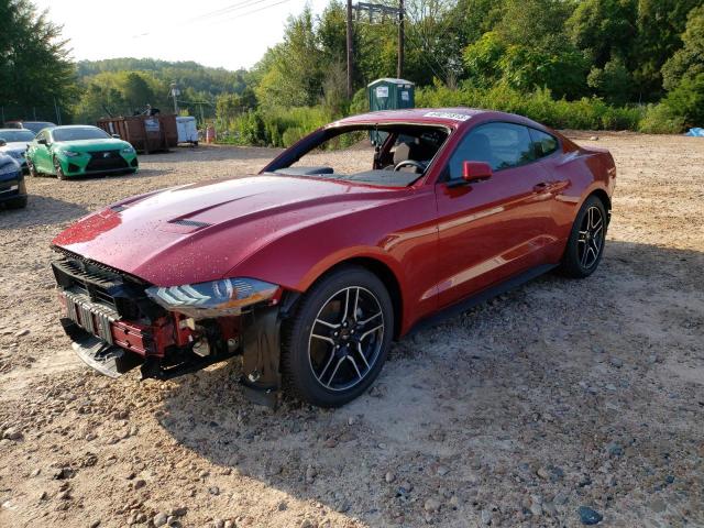 Ford All models (2023)