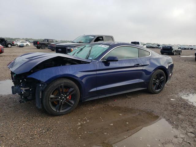 Ford All models (2019)
