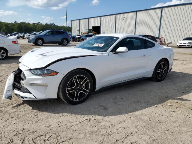 Ford All models (2021)