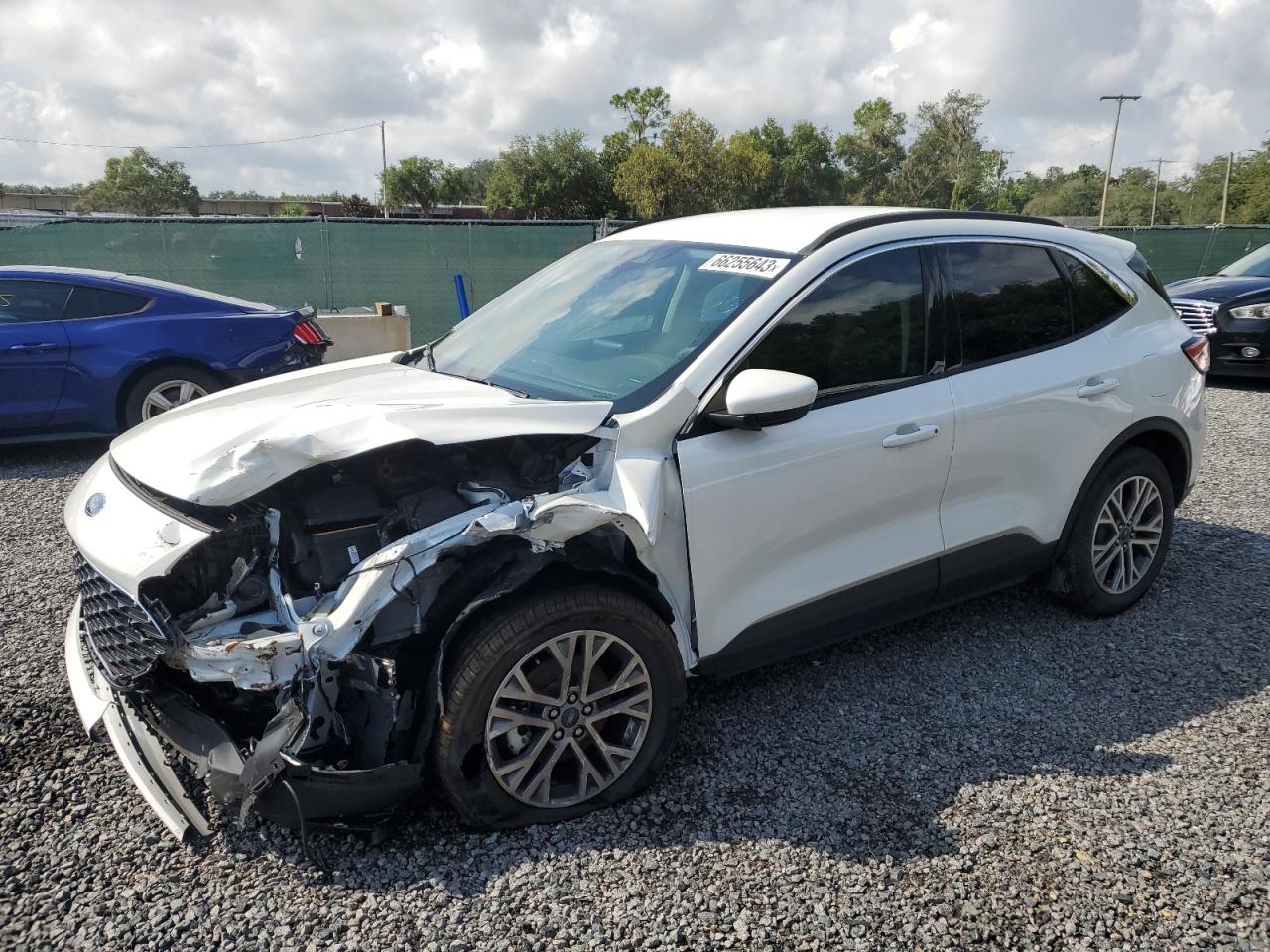 Ford Escape sel (2022)