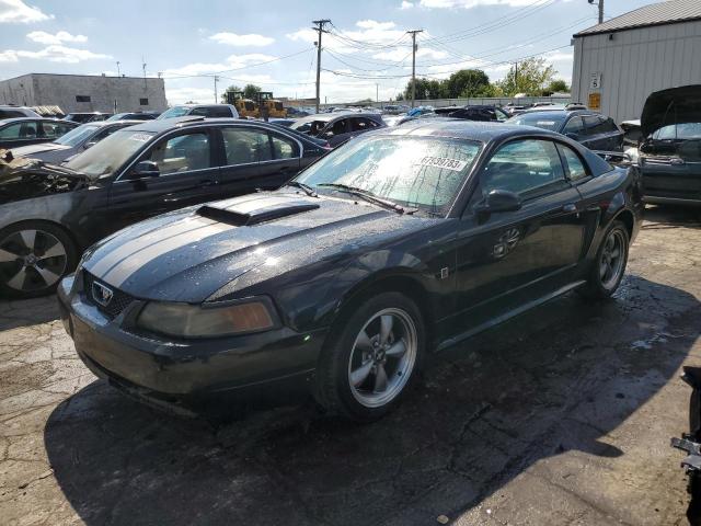 Ford All models (2004)