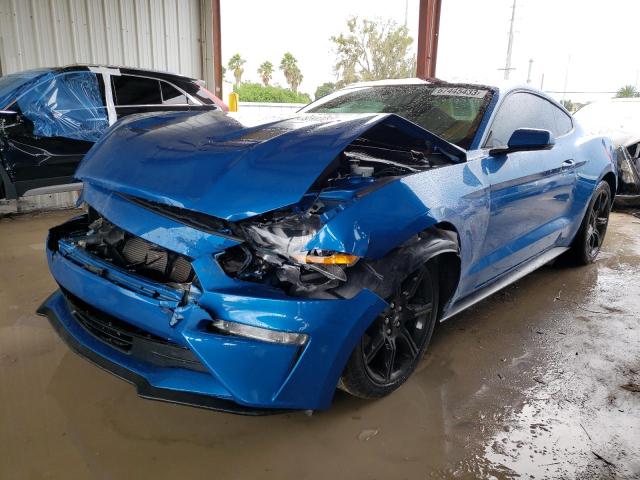 Ford All models (2019)