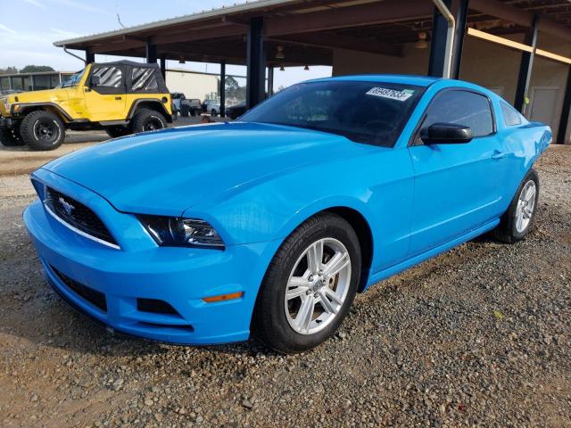 Ford All models (2013)