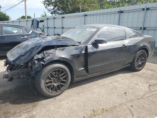 Ford All models (2014)