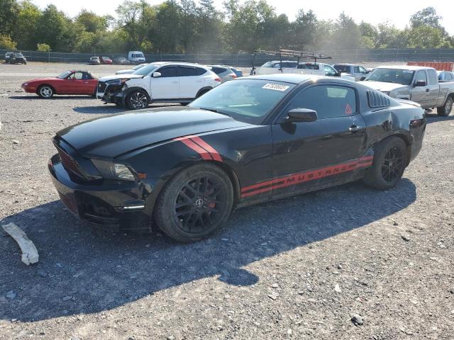 Ford All models (2014)