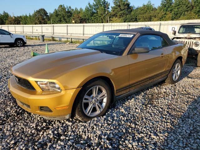 Ford All models (2010)