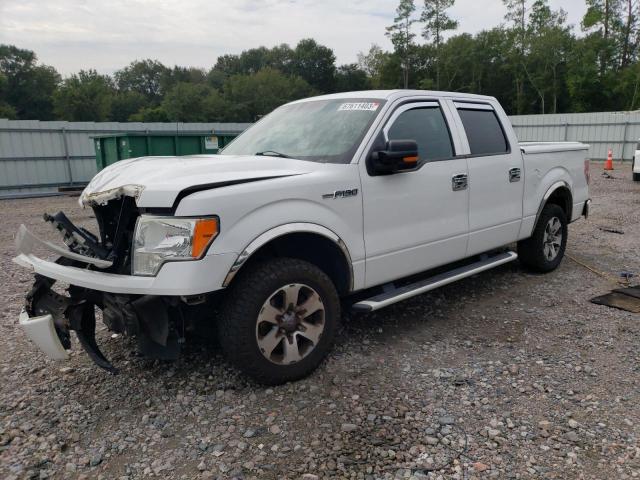 Ford All models (2011)