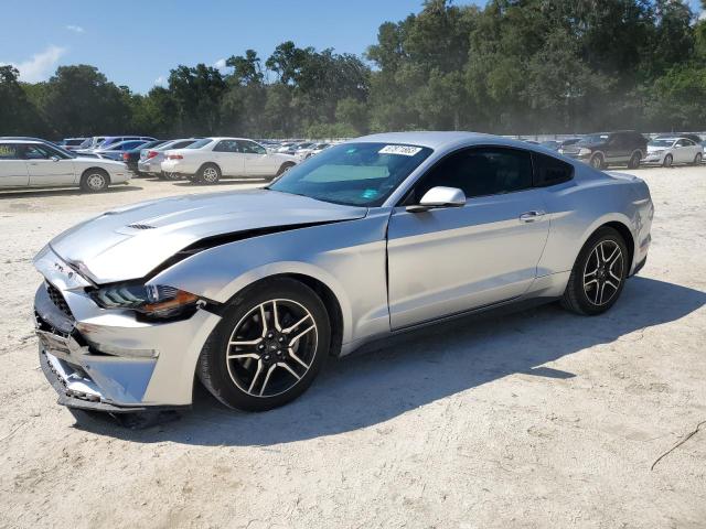 Ford All models (2019)