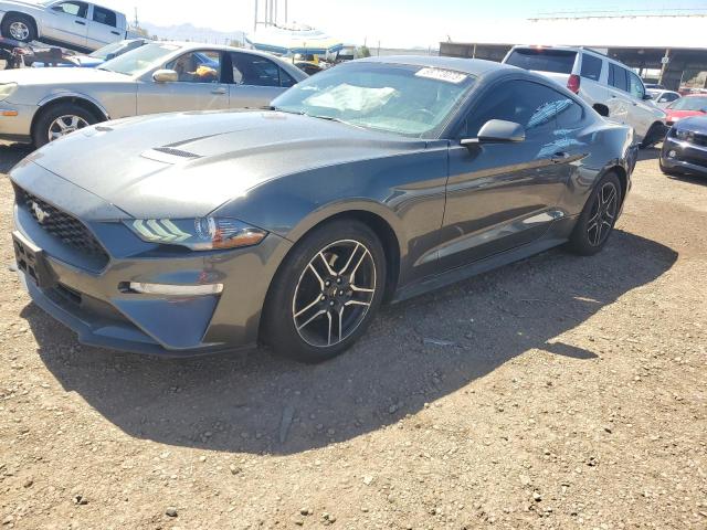 Ford All models (2018)