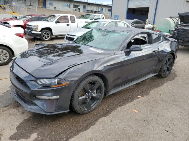Ford All models (2022)