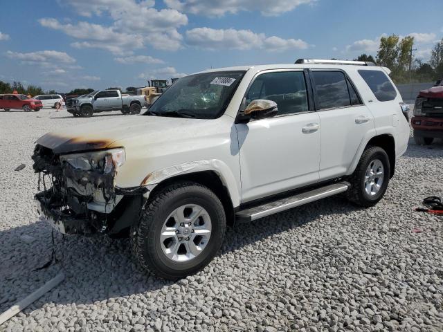 Toyota 4runner sr (2024)