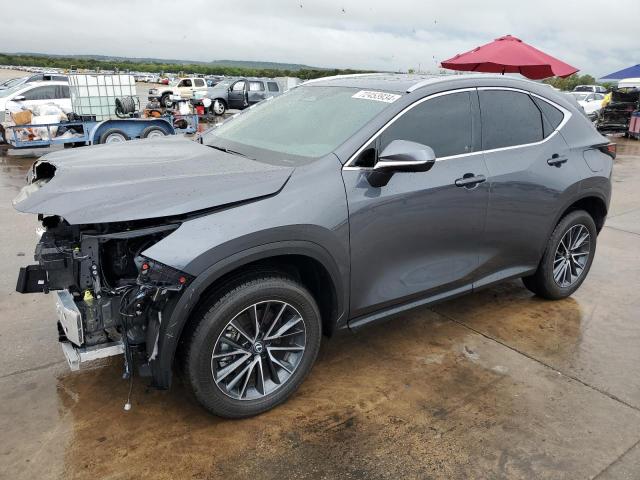 Lexus Nx 250 pre (2025)