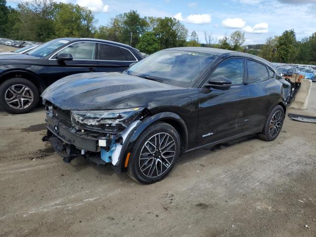 Ford Mustang ma (2024)