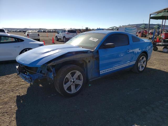Ford All models (2010)