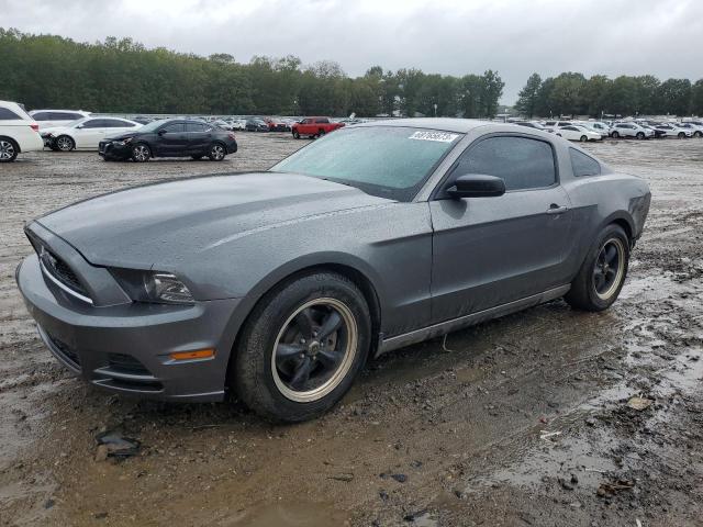 Ford All models (2013)