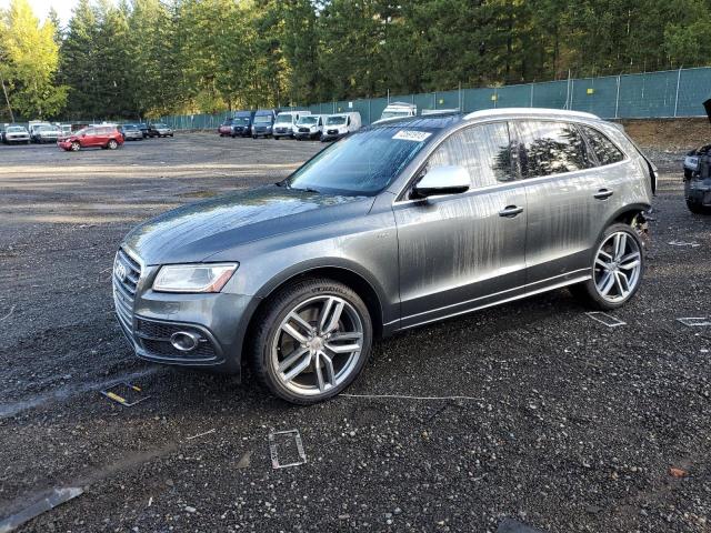Audi Sq5 (2015)