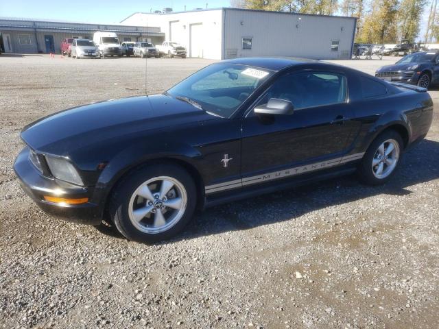 Ford All models (2007)