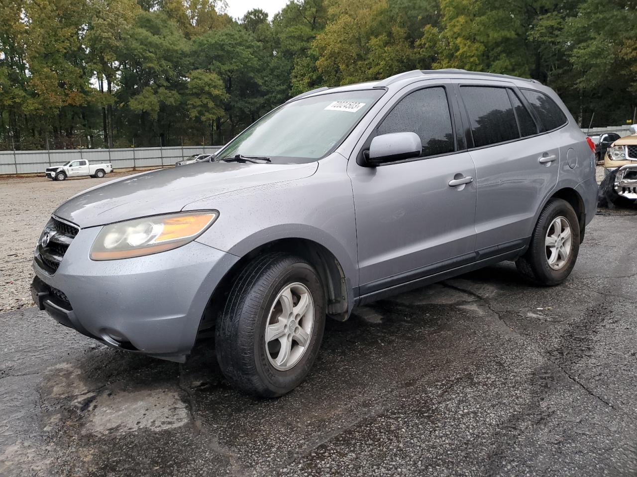 Hyundai Santa fe g (2007)