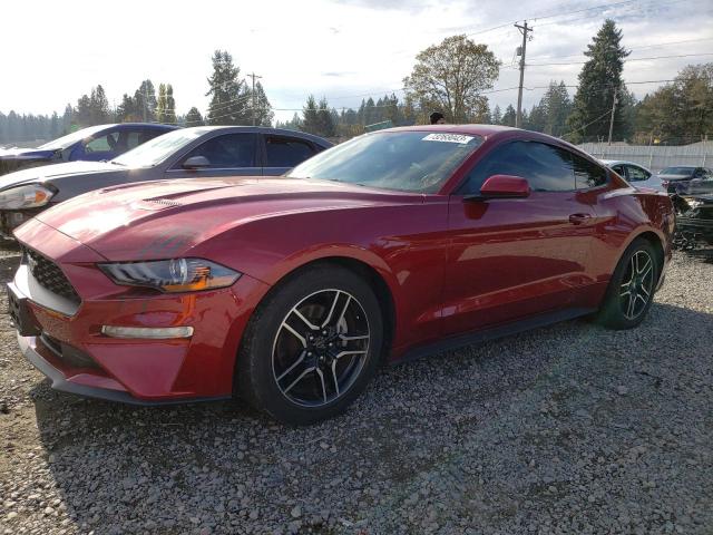 Ford All models (2019)
