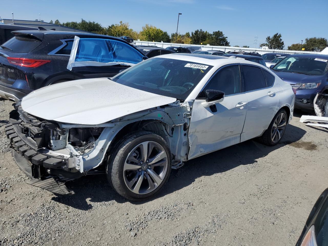 Acura Tlx advanc (2021)