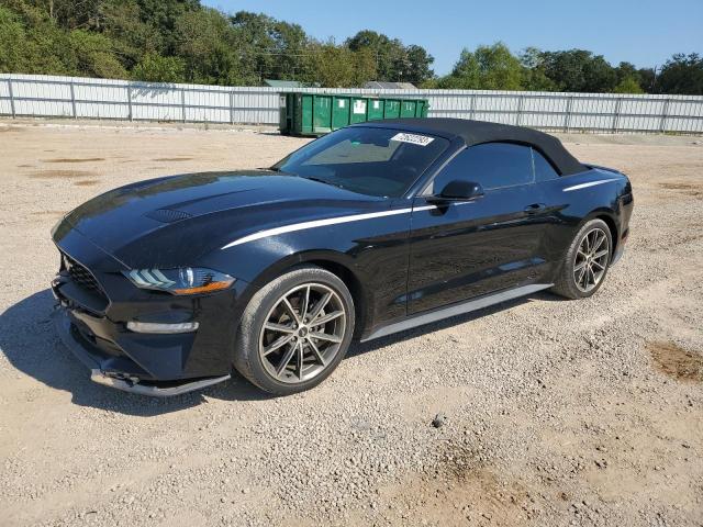 Ford All models (2019)