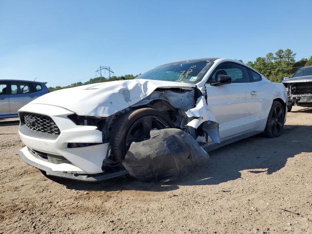 Ford All models (2023)