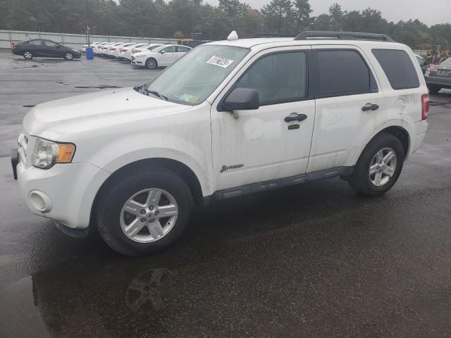 Ford Escape (2011)