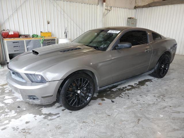 Ford All models (2011)