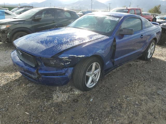 Ford All models (2005)