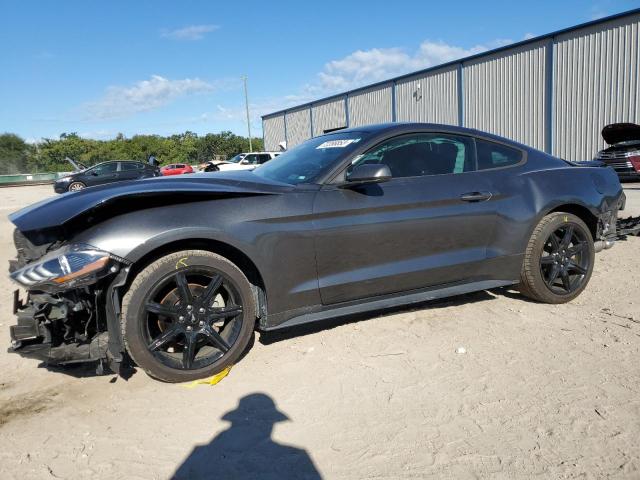 Ford All models (2019)