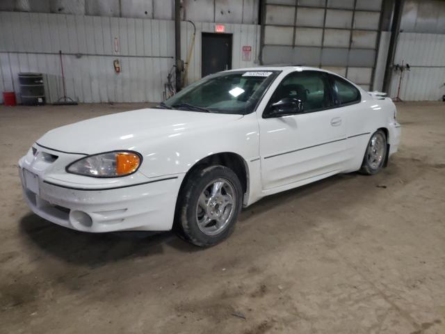 Pontiac Grandam (2004)