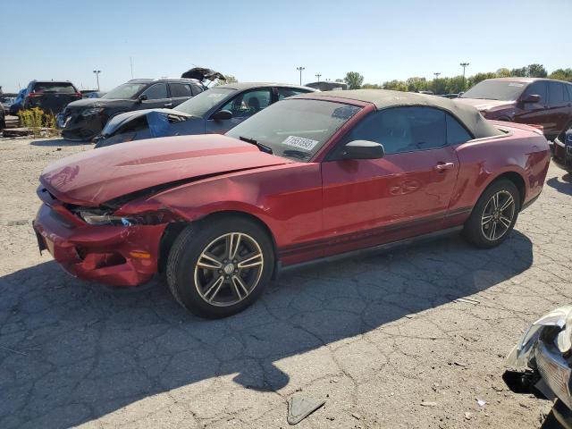 Ford All models (2010)